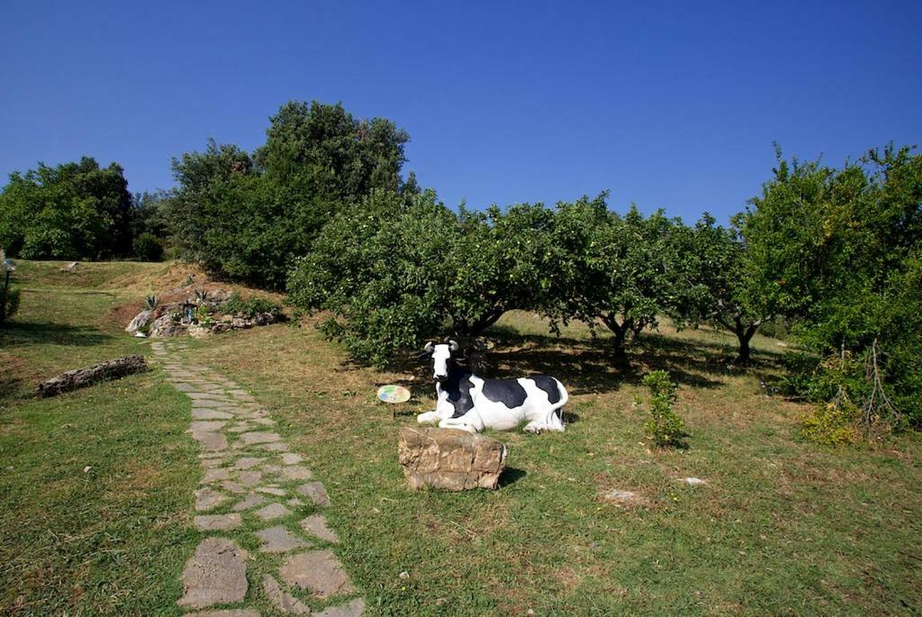 Casa Conti Di Sotto Villa Gavorrano Buitenkant foto